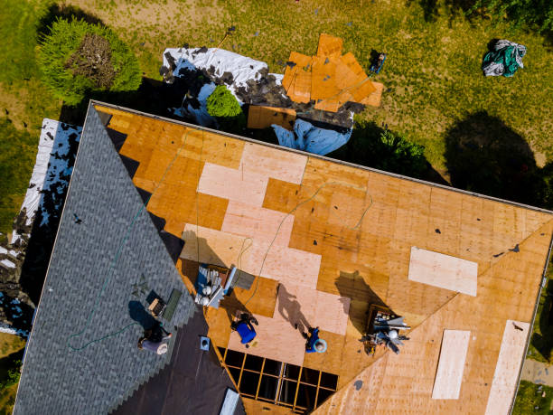 Best Roof Waterproofing Services  in Harlan, KY